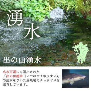 ふるさと納税 【純国産キャビア】オシェトラキャビア 100g 天津御姉の涙 国産 チョウザメ 魚卵 宮崎県 小林市 宮崎県小林市