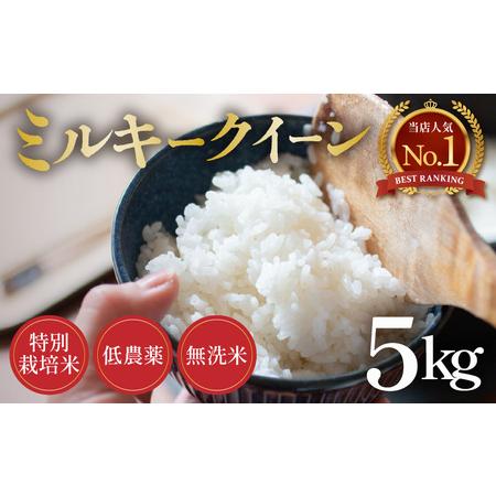 ふるさと納税 [令和7年産 新米]ミルキークイーン 5kg 無洗米 特別栽培米 低農薬 [食味値85点以上!こだわり無洗米] / 福井県 あわら市 北.. 福井県あわら市