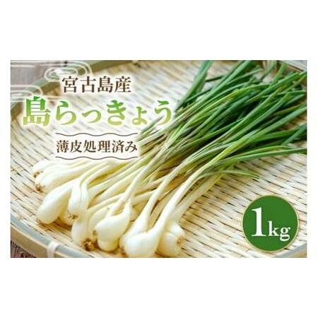 ふるさと納税 宮古島産 島らっきょう1kg(薄皮処理済み) パニパニファーム(PN05) 沖縄県宮古島市