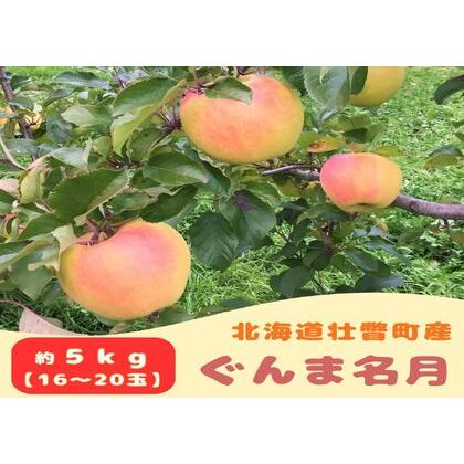 ふるさと納税 ファームアグリエイトのりんご「ぐんま名月」 約5kg(16〜20玉) SBTB014 北海道壮瞥町