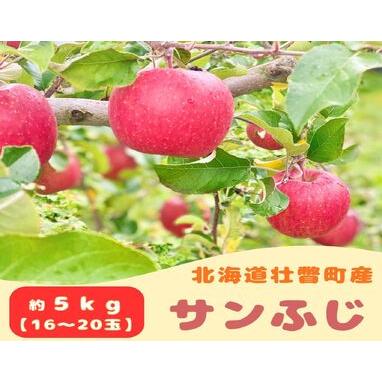 ふるさと納税 ファームアグリエイトのりんご「サンふじ」約5kg(16〜20玉) SBTB015 北海道壮瞥町