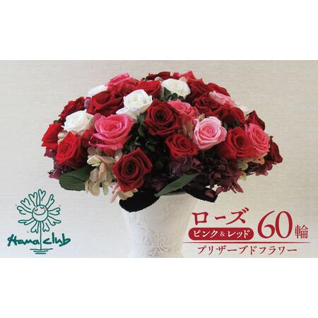 ふるさと納税 [日付指定可能]プリザーブドフラワーローズ(ピンク&レッド)60輪のアレンジメント 薔薇 バラ ギフト プレゼント ラッピング 産.. 愛知県碧南市
