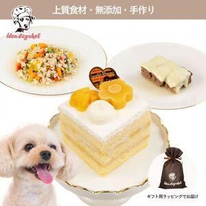 ふるさと納税 [マンゴーのショートケーキセット]犬のケーキ・ごはん 無添加 手作り Idea dog chef[配送不可地域:離島][1660625] 栃木県佐野市