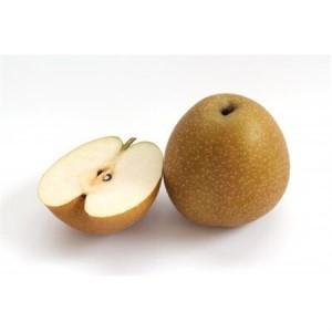 ふるさと納税 【訳あり】王秋梨 4kg(4〜13玉前後)【配送不可地域：離島・北海道・沖縄県】【1688922】 鳥取県智頭町_3