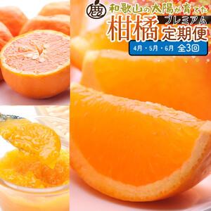 ふるさと納税 厳選 柑橘定期便S(4〜6月)全3回 [IKE289] 和歌山県和歌山市