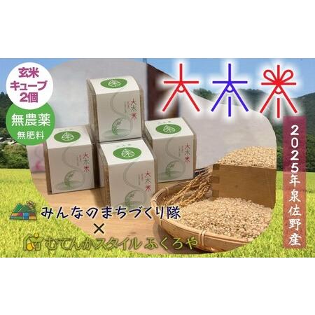 ふるさと納税 大木米(無農薬・玄米)キューブ2個 合計600g 大阪府泉佐野市