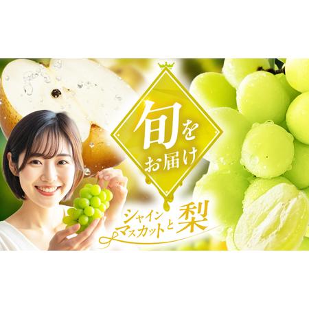 ふるさと納税 [★先行予約★ 8月下旬発送開始]フルーツ詰合せ(シャインマスカット3パック&梨3個) 広川町 / JAふくおか八女農産物直売所ど.. 福岡県広川町