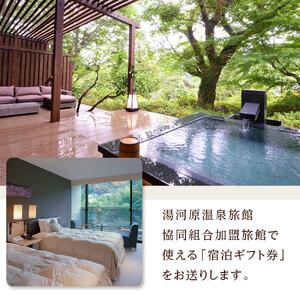 湯河原温泉　宿泊ギフト券18000円分 ふるさと納税 湯河原温泉ふるさと納税「宿泊ギフト券」 60,000円分