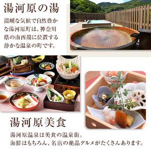 湯河原温泉　宿泊ギフト券18000円分 ふるさと納税 湯河原温泉ふるさと納税「宿泊ギフト券」 60,000円分