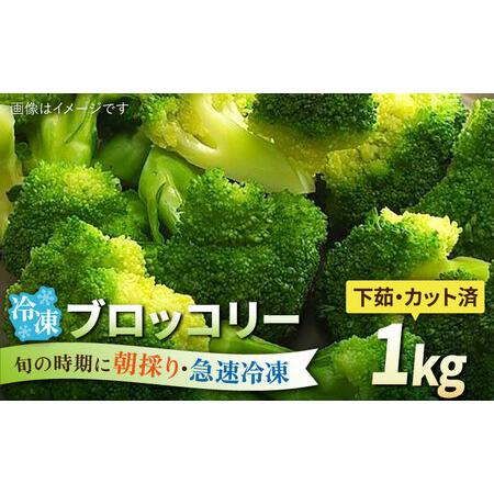 ふるさと納税 ブロッコリー 1kg 冷凍 旬の時期に急速冷凍 [福岡県糸島産] 糸島市 / オーガニックナガミツファーム 野菜[AGE053] 福岡県糸島市