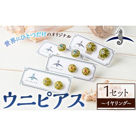 ふるさと納税 海アクセサリー ウニイヤリング (1セット) アクセサリー イヤリング ハンドメイド 手作り 耳飾り ギフト プレゼント 贈り物 雲丹 .. 福岡県芦屋町