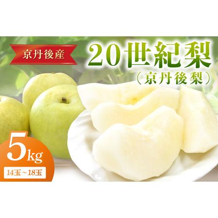 ふるさと納税 [先行予約/数量限定150]20世紀梨 5kg(2026年9月上旬〜発送) 京都府京丹後市