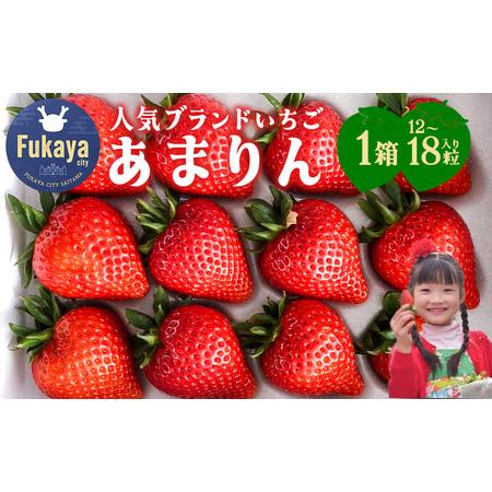 ふるさと納税 [埼玉県]人気ブランドいちご「あまりん」1箱 12粒または15粒または18粒(収穫状況により変更あり) [11218-0943] 埼玉県深谷市