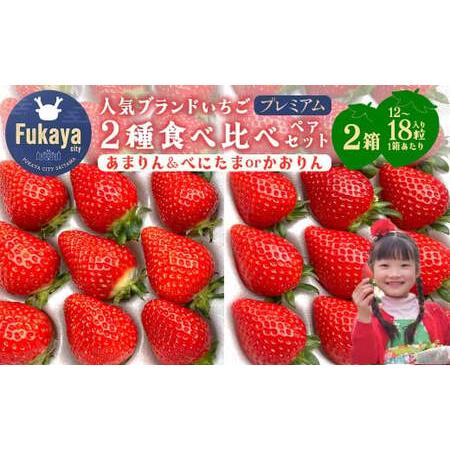 ふるさと納税 [埼玉県ブランドいちご]あまりん&べにたまorかおりん 2種類食べ比べプレミアムペアセット!!(各種1箱/計2箱 1箱あたり12〜.. 埼玉県深谷市