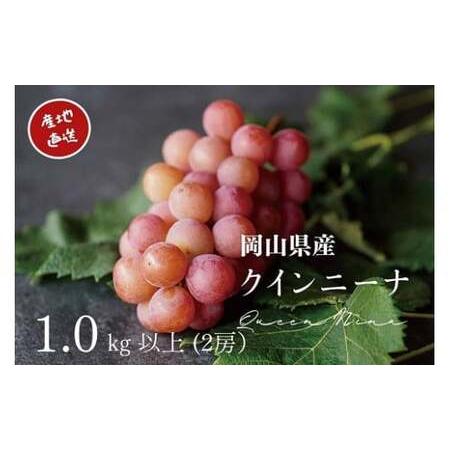 ふるさと納税 [2026年先行予約] 厳選ぶどう 岡山県産 クイーンニーナ 1.0kg以上(2房) 産地直送 朝採れ新鮮! / ぶどう 葡萄 クイーンニーナ .. 岡山県真庭市