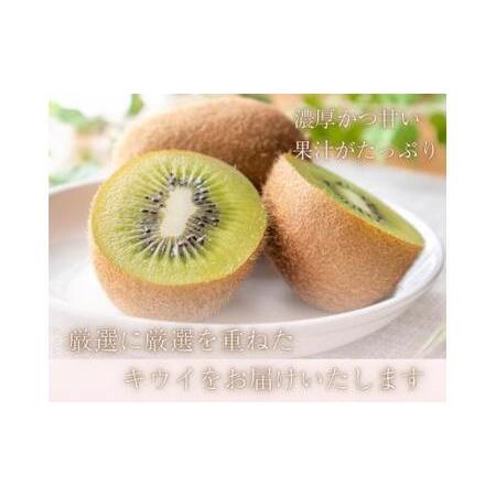 ふるさと納税 厳選 キウイ 7.5kg＋250g（傷み補償分）【扁平果】 / 和歌山 フルーツ 果物 くだもの ※2026年11月中旬より2027年4月下旬頃順.. 和歌山県紀美野町_1