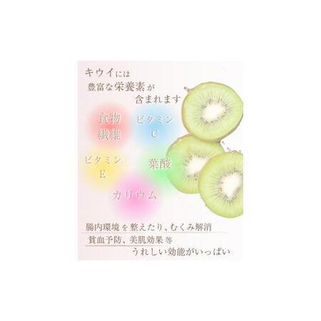 ふるさと納税 厳選 キウイ 7.5kg＋250g（傷み補償分）【扁平果】 / 和歌山 フルーツ 果物 くだもの ※2026年11月中旬より2027年4月下旬頃順.. 和歌山県紀美野町_2