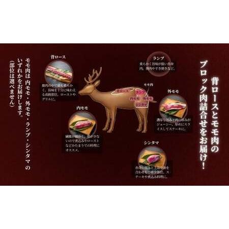 ふるさと納税 森の野生肉  鹿肉 立ちはだかる おまかせ詰合せ2kg A-JJ-A23A 岡山県西粟倉村