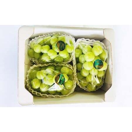 ふるさと納税 ぶどう 2026年 先行予約 シャイン マスカット 3〜4房 合計2kg以上 [2026年9月上旬〜9月下旬発送予定] / ブドウ 葡萄 シャインマ.. 岡山県美咲町