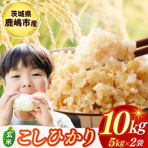 ふるさと納税 ★令和7年産米★ お米 コシヒカリ 玄米 10kg (5kg×2袋) 鹿嶋市産[こしひかり 米 コメ ごはん ライス ブランド米 茨城県 鹿嶋.. 茨城県鹿嶋市