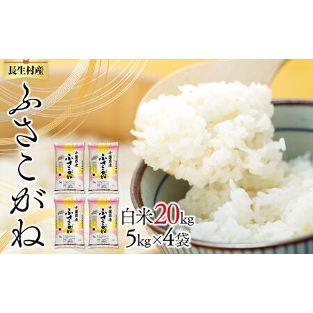 ふるさと納税 E01-B02-00 令和7年産 長生産ふさこがね(20kg・精米) 千葉県長生村
