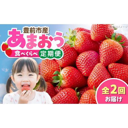 ふるさと納税 [全2回定期便]あまおう2種食べ比べ返礼品 4万円コース [豊前市][豊前市定期便][VZZ026] 福岡県豊前市