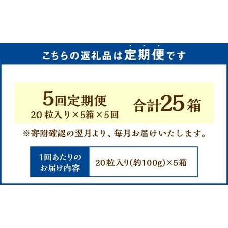 ふるさと納税 【5回定期便】 《冷凍》 北海道生チョコレート （ミルク） 5箱×5回 合計25箱 生チョコレート 生チョコ チョコレート チョコ .. 北海道小樽市