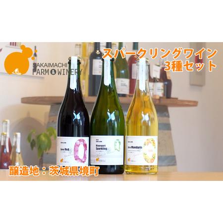 ふるさと納税 [スパークリングワイン3種セット] 750ml×3本 さかいまち ワイナリー K2649 茨城県境町