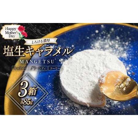 ふるさと納税 [期間限定発送] [母の日ギフト] キャラメル スイーツ MANGETSU キャラメロ グリーンティー コーヒー 85g 3種 各1個 計3個 [f.. 長崎県平戸市