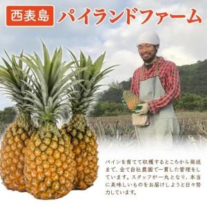 ふるさと納税 ＜訳あり！＞ピーチパイン4kgセット 沖縄県竹富町