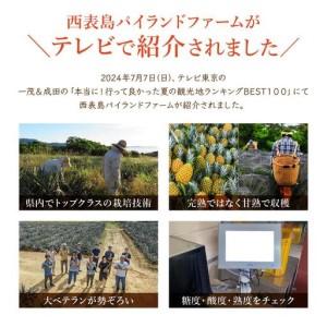 ふるさと納税 ＜訳あり！＞ピーチパイン4kgセット 沖縄県竹富町