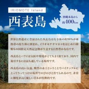 ふるさと納税 ＜訳あり！＞ピーチパイン4kgセット 沖縄県竹富町