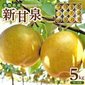 ふるさと納税 1121.[2026年度発送先行予約]数量限定 新甘泉 5kg 鳥取県北栄町