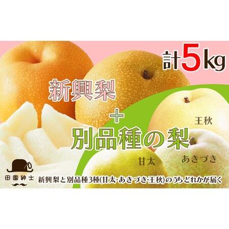 ふるさと納税 田園紳士厳選「梨好きさんのための梨セット」新興梨ともう1品種の計2品種セット 京都府京丹後市