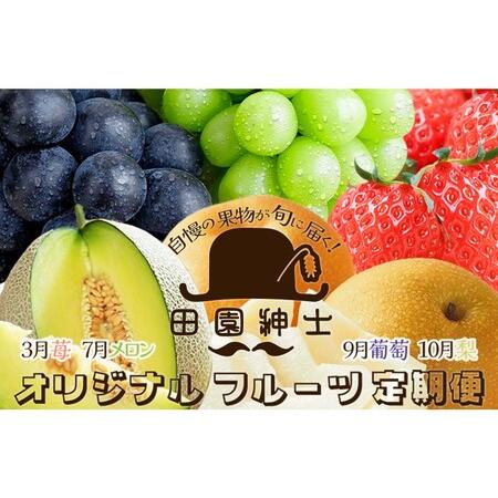 ふるさと納税 田園紳士厳選 オリジナルフルーツ定期便4回[イチゴ、メロン、黒葡萄、シャインマスカット、梨] 京都府京丹後市