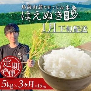 ふるさと納税 SF0323 1月下旬発送開始/[3回定期便]令和7年産 [精米]はえぬき 5kg×3回(計15kg) 農家直送 HO 山形県酒田市