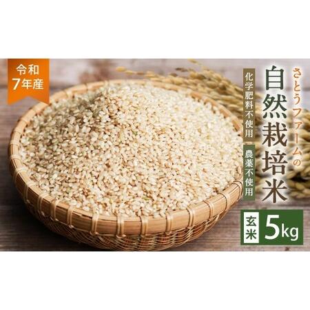 ふるさと納税 [令和7年産]さとうファームの自然栽培米(玄米5kg)ふっくら つやつや おいしい 美味しい 贈り物 単一原料米 大分県九重町
