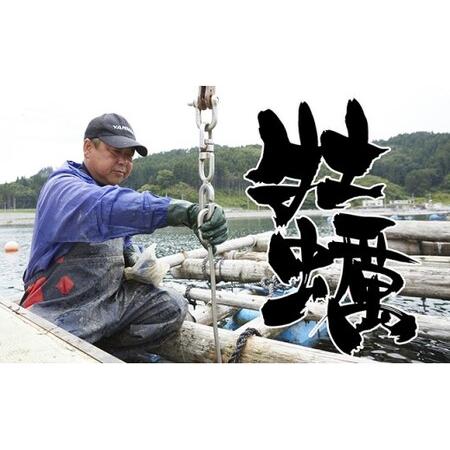 ふるさと納税 牡蠣のガンガン焼きと海の幸セット [殻付き牡蠣 / 牡蠣オイル漬け / ホヤむき身 / 塩蔵わかめ] 岩手県陸前高田市