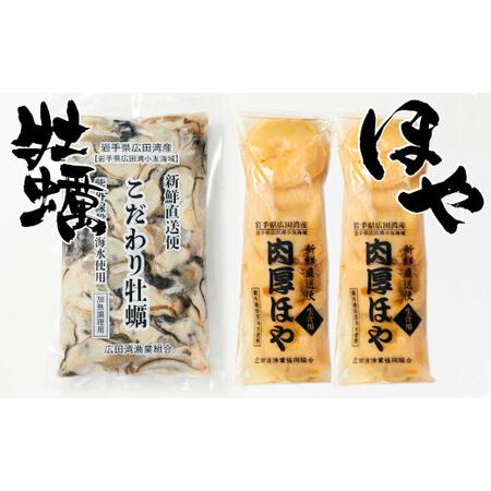 ふるさと納税 [三陸産] 冷凍むき身牡蠣500g と 冷凍ほや300g×2個 セット 岩手県陸前高田市