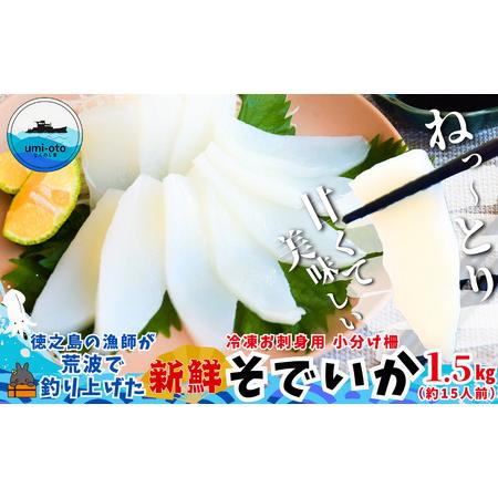 ふるさと納税 徳之島の漁師が荒波で釣り上げたそでいか 冷凍お刺身用小分け柵 1.5kg(約15人前) ( ソデイカ いか イカ 大型のいか 回遊 お.. 鹿児島県徳之島町