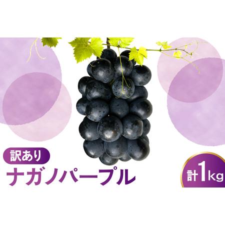 ふるさと納税 [先行予約] 令和8年産 訳あり ぶどう ナガノパープル 1kg 2026年9月上旬頃〜お届け予定 山形県米沢市