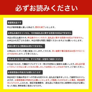 ふるさと納税 【新品】 ノートパソコン 2025年10月発売モデル NEC LAVIE Direct N13 Slim(1) 13.3型ワイド AMD Ryzen? 7 7735HS プロセッサ Wind.. 山形県米沢市の画像
