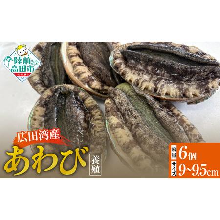 ふるさと納税 肉厚! 広田湾産 養殖あわび 6個セット (殻長 9cm〜9.5cm) アワビ 岩手県陸前高田市