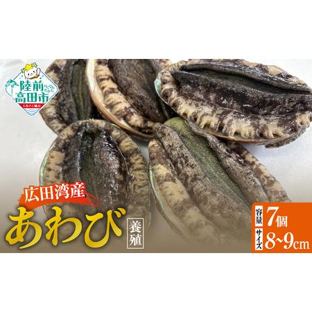 ふるさと納税 肉厚! 広田湾産 養殖あわび 7個セット (殻長 8cm〜9cm) アワビ 岩手県陸前高田市