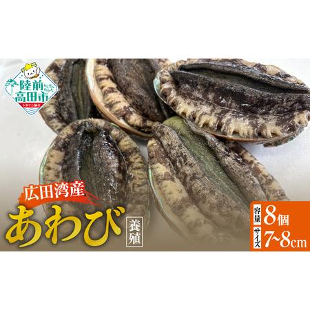 ふるさと納税 肉厚! 広田湾産 養殖あわび 8個セット (殻長 7cm〜8cm) アワビ 岩手県陸前高田市