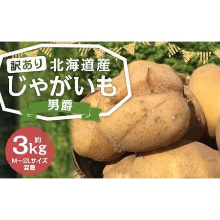 ふるさと納税 [訳あり] 北海道産 じゃがいも (男爵) 約3kg 山田農場 [2025年9月下旬〜2026年3月上旬迄発送予定] 訳アリ 理由あり わけあり.. 北海道京極町