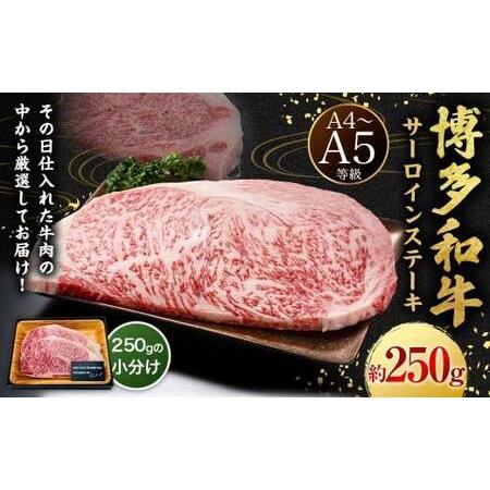 ふるさと納税 [A4・A5]博多和牛 サーロインステーキ 約250g (約250g×1P) 肉 牛肉 牛 和牛 国産牛 福岡県 うきは市 冷凍 福岡県うきは市