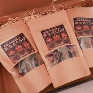 ふるさと納税 [国産]山賊団の黒宝きくらげ(肉厚プルプル) 20g 3個セット[1673443] 愛知県武豊町