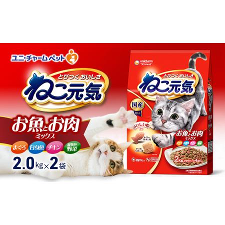 ふるさと納税 ねこ元気 お魚とお肉ミックス まぐろ・白身魚・チキン・緑黄色野菜入 2.0kg×2袋 ペットフード キャットフード 猫のごはん 猫.. 兵庫県伊丹市