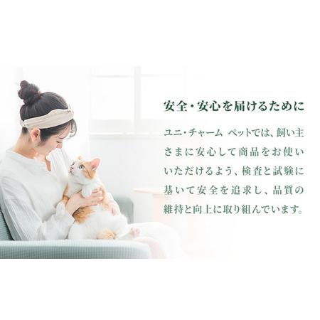ふるさと納税 ねこ元気 健康に育つ子ねこ用 お魚とお肉ミックス 1.6kg×3袋 ペットフード 兵庫県伊丹市の画像